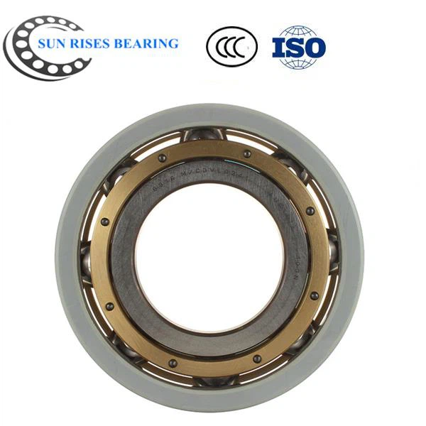 6319/C3VL0241 Bearing